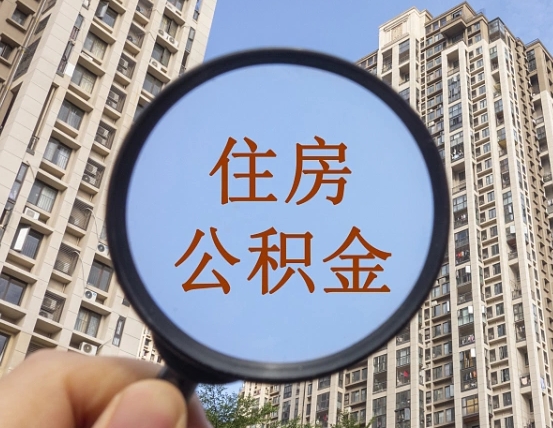 菏泽哈尔滨公积金大额提取（菏泽哈尔滨公积金大额提取条件）